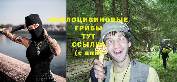 a pvp Алзамай