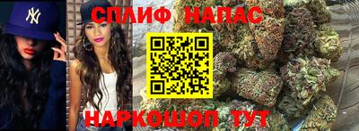 не бодяженный Владимир