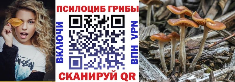 Псилоцибиновые грибы Cubensis  Старый Оскол 
