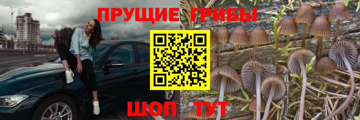 Галлюциногенные грибы GOLDEN TEACHER Старый Оскол